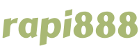 rapi888  logo